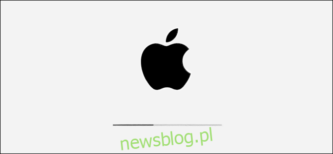 Logo Apple và thanh tiến trình cài đặt trong iPadOS.
