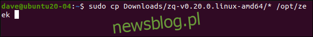 sudo cp Tải xuống / zq-v0.20.0.linux-amd64/*/opt/Zeek trong cửa sổ đầu cuối.