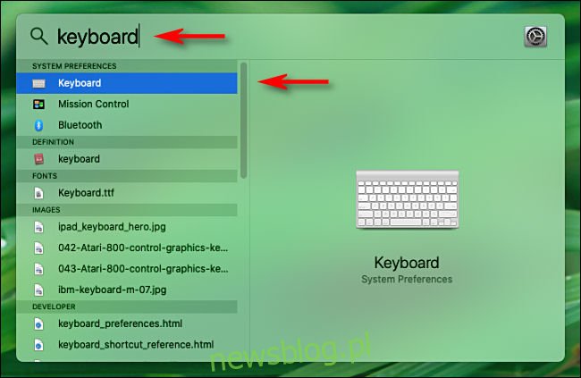 Mở Spotlight trên máy Mac và nhập một từ để tìm kiếm các tùy chọn tùy chọn hệ thống.