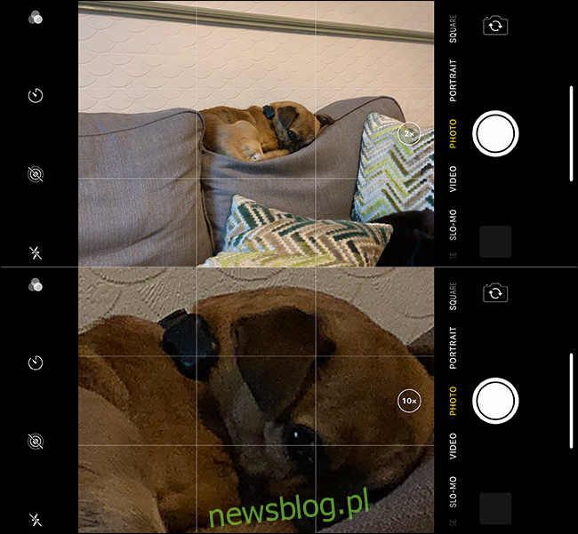 Một ví dụ về phóng to hình ảnh con chó xấu trên iPhone. 