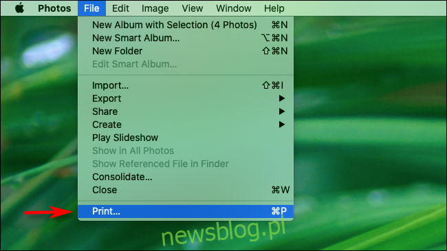 Chọn Tệp và In từ thanh menu trong ứng dụng Ảnh trên máy Mac của bạn