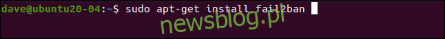 Sudo apt-get install fail2ban trong cửa sổ đầu cuối.