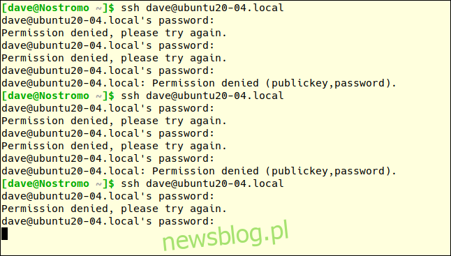ssh dave@ubtuntu20-04.local trong cửa sổ đầu cuối với nhiều lần thử mật khẩu không thành công.