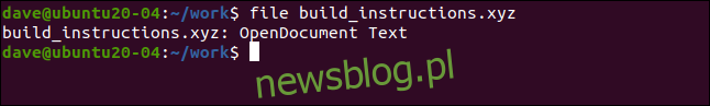 tệp build_instructions.xyz trong cửa sổ đầu cuối.