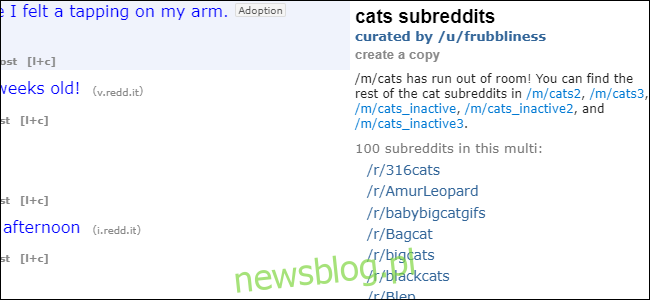 Mèo Multireddit Reddit
