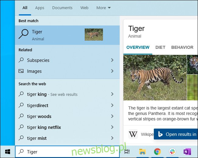 Tìm kiếm Bing hiển thị thông tin về hổ trong menu Bắt đầu của hệ thống Windows 10.