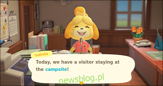 Isabelle - Khu cắm trại Animal Crossing New Horizons