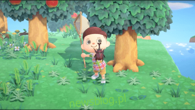 Zbieranie błędów w grze Animal Crossing: New Horizons