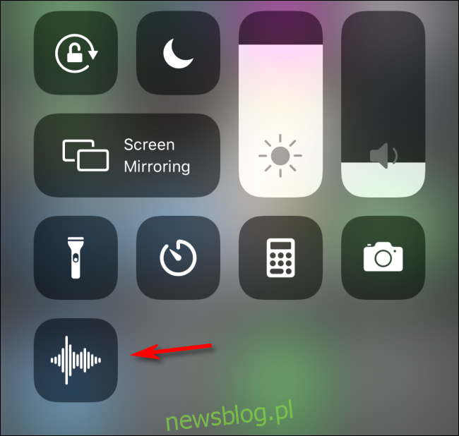Chọn biểu tượng ghi nhớ giọng nói để sử dụng nó trong Trung tâm điều khiển iOS
