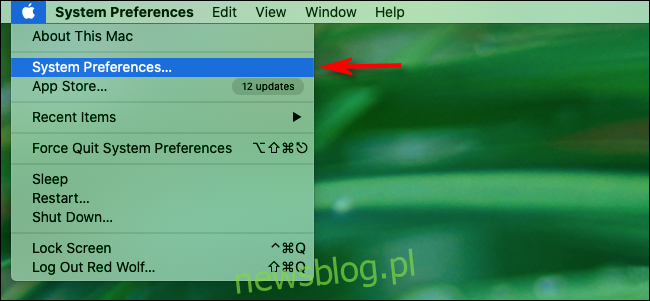 Khởi chạy Tùy chọn hệ thống từ menu Apple trên máy Mac của bạn