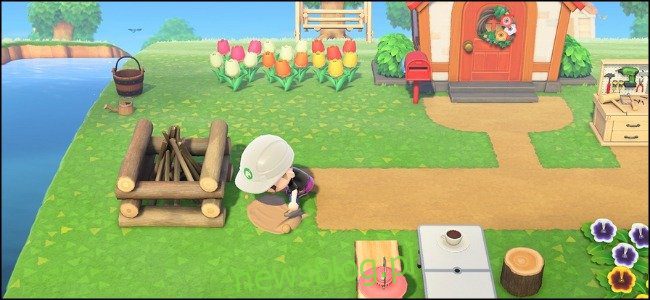 Cách giao dịch với những người chơi khác trong "Animal Crossing: New Horizons"