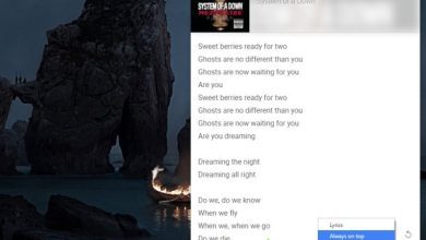 Cách nhận lời bài hát trong cửa sổ nổi cho bài hát Spotify hiện tại