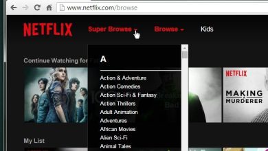 Cách xem danh mục ẩn trên Netflix [Chrome]