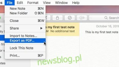 Cách xuất ghi chú dưới dạng tệp văn bản thuần túy trên macOS