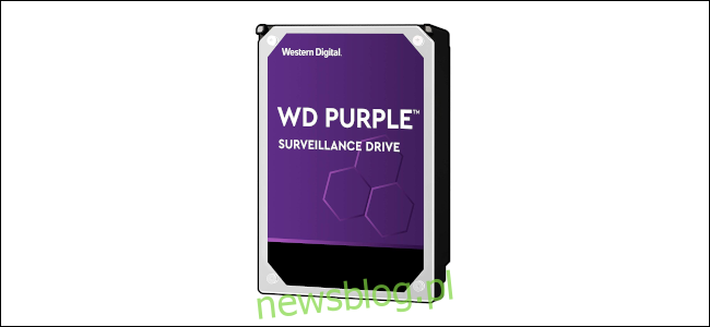 Western Digital Purple Surveillance Drive.