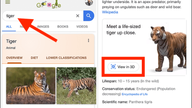 Trở thành Tiger King với những con vật 3D và đồ vật Google này