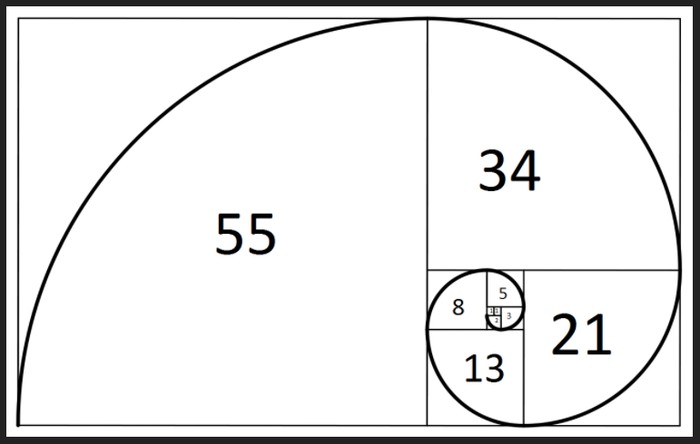đường xoắn ốc Fibonacci