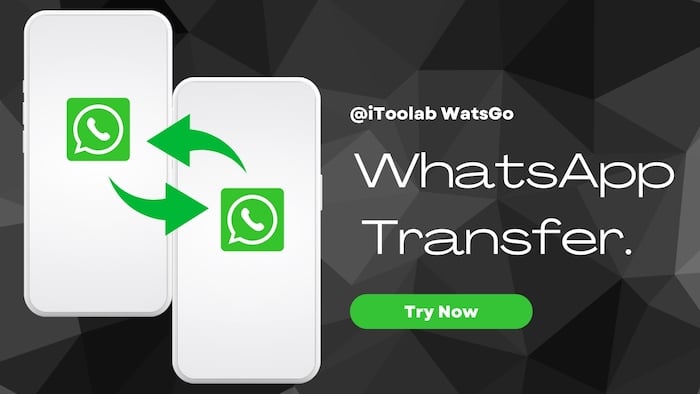 Chuyển WhatsApp bằng iToolab WatsGo