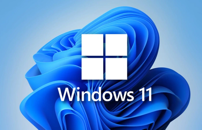Giấu Windows Cảnh báo 11 yêu cầu hệ thống không được đáp ứng