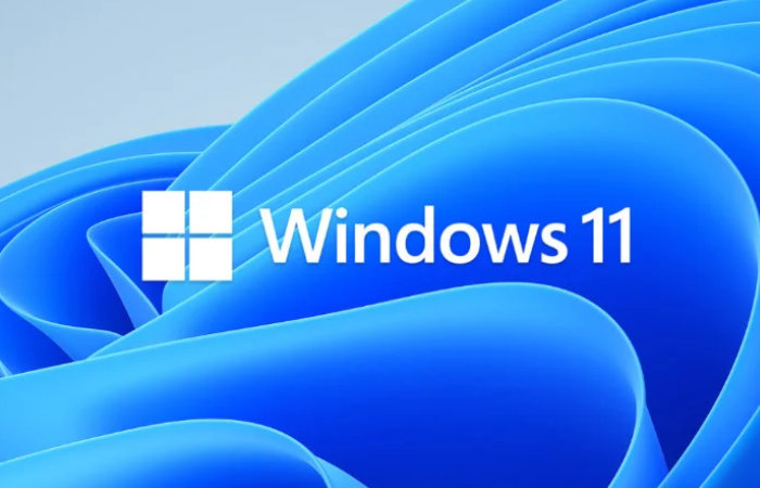 Windows  11 Bản xem trước nội bộ 22000.120