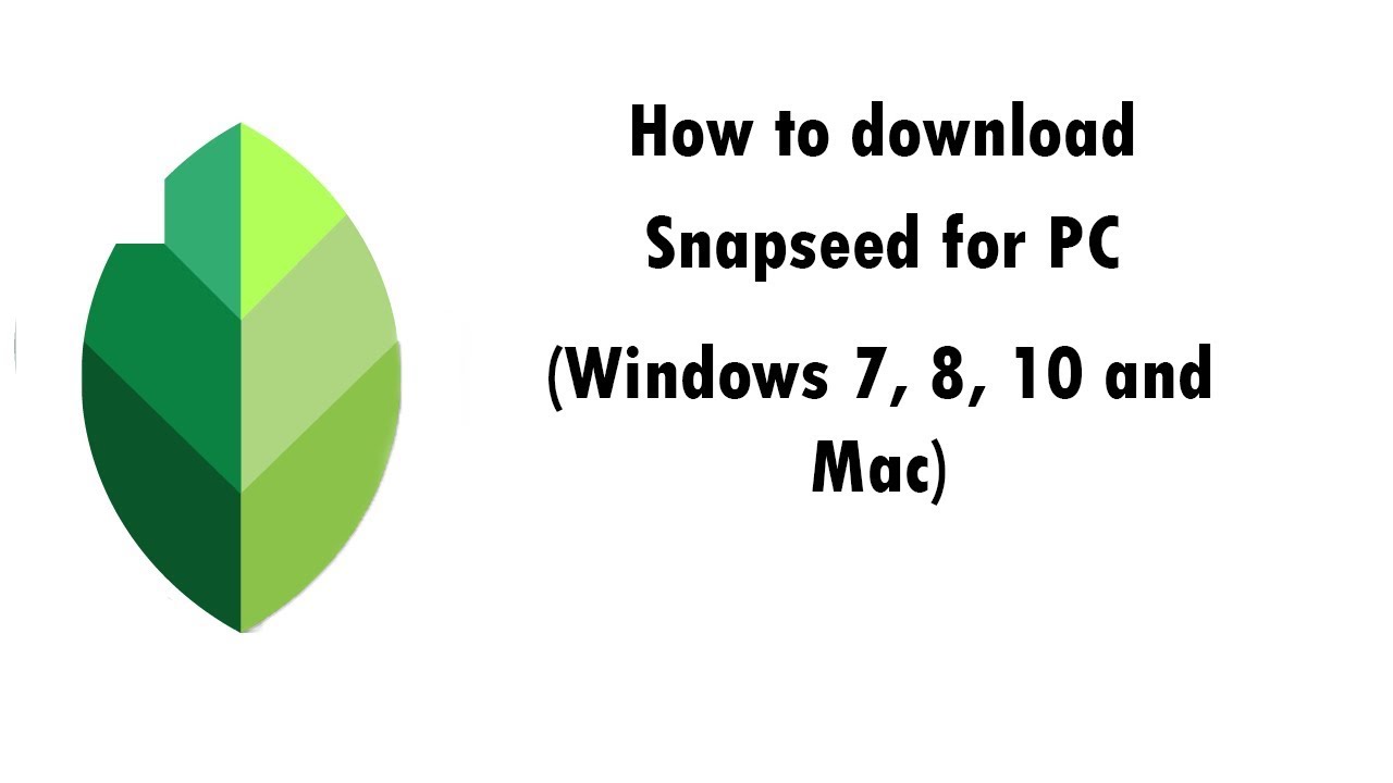 Get Into PC Snapseed: 7 Fitur Keren yang Harus Anda Coba